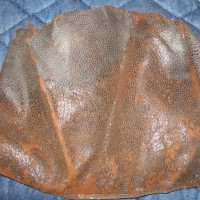 Leather Fragment